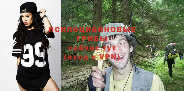 скорость Алексин