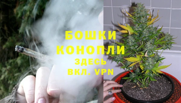 spice Беслан