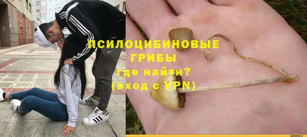 скорость Алексин